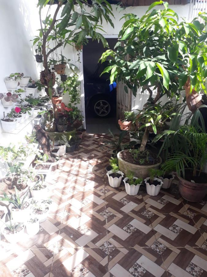 Bumimi Homestay Painan Buitenkant foto